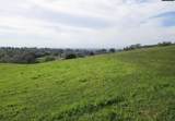 9065 Wise Road - Photo 5