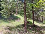4121 Sierra Springs Drive - Photo 12