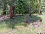 4121 Sierra Springs Drive - Photo 13
