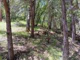 4121 Sierra Springs Drive - Photo 15