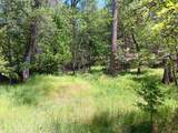 4121 Sierra Springs Drive - Photo 22