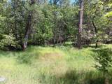 4121 Sierra Springs Drive - Photo 23