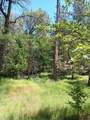 4121 Sierra Springs Drive - Photo 25
