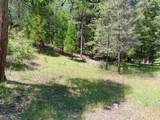 4121 Sierra Springs Drive - Photo 3