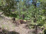 4121 Sierra Springs Drive - Photo 31