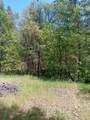 4121 Sierra Springs Drive - Photo 34