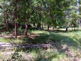 4121 Sierra Springs Drive - Photo 35