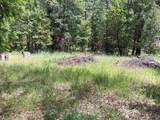 4121 Sierra Springs Drive - Photo 38
