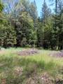 4121 Sierra Springs Drive - Photo 39