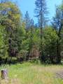 4121 Sierra Springs Drive - Photo 40