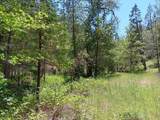 4121 Sierra Springs Drive - Photo 43