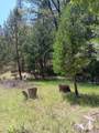 4121 Sierra Springs Drive - Photo 45