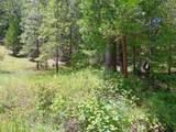 4121 Sierra Springs Drive - Photo 50