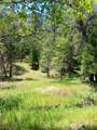 4121 Sierra Springs Drive - Photo 54