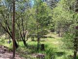 4121 Sierra Springs Drive - Photo 55