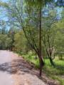 4121 Sierra Springs Drive - Photo 56