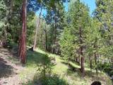 4121 Sierra Springs Drive - Photo 6
