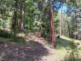 4121 Sierra Springs Drive - Photo 8