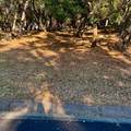 11839 Warbler Way - Photo 4