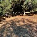 11839 Warbler Way - Photo 6