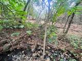 3542 Cedar Ravine Road - Photo 6