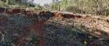 16008 Annie Drive - Photo 1