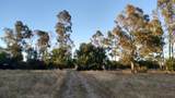 10076 Florin Road - Photo 1