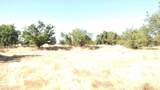 10076 Florin Road - Photo 15