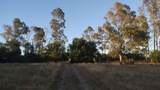 10076 Florin Road - Photo 19