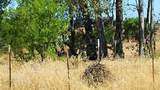 10076 Florin Road - Photo 3