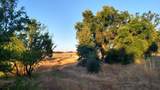 10076 Florin Road - Photo 30