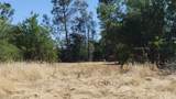 10076 Florin Road - Photo 5