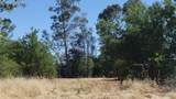 10076 Florin Road - Photo 7