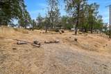 13627 Jessica Way - Photo 9