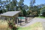 720 Sunrise Ave - Photo 7