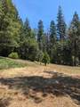 13863 Altair Drive - Photo 5