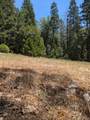 13863 Altair Drive - Photo 7