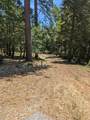 13863 Altair Drive - Photo 9