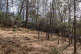 23395 Darkhorse Drive - Photo 10