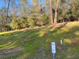 23395 Darkhorse Drive - Photo 5