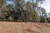 23395 Darkhorse Drive - Photo 6
