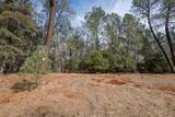 23395 Darkhorse Drive - Photo 7