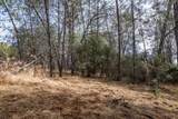 23395 Darkhorse Drive - Photo 9