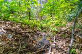 0 Starkes Grade Road - Photo 18