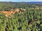 12606 Francis Drive - Photo 9