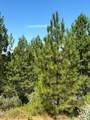 9652 Marysville Road - Photo 10