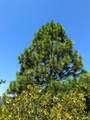 9652 Marysville Road - Photo 15