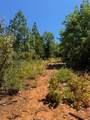 9652 Marysville Road - Photo 16
