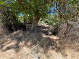 13119 Ridge View Drive - Photo 10
