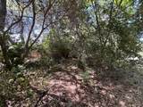 13119 Ridge View Drive - Photo 15